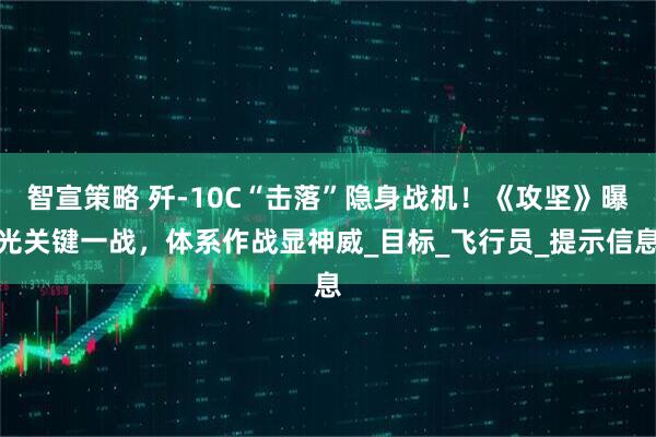 智宣策略 歼-10C“击落”隐身战机！《攻坚》曝光关键一战，体系作战显神威_目标_飞行员_提示信息